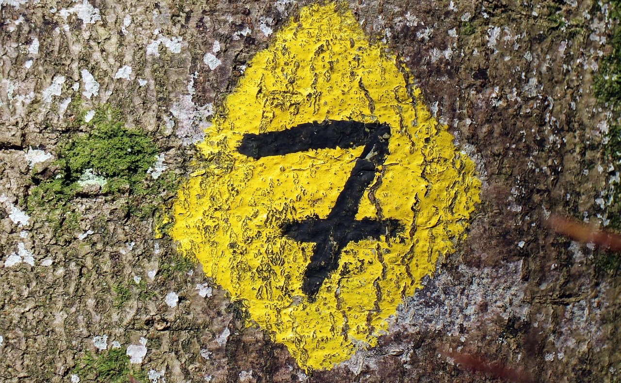 Seven: The Number That’s Everywhere – From Ancient Mysteries to Viral TikToks!