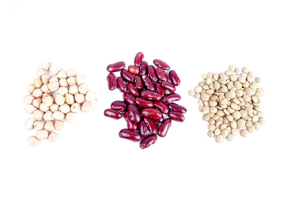 agriculture, assortment, background, bean, black, brown, cereal, chickpea, close-up, collection, crop, detail, diet, different, dry, food, grain, green, group, haricot, health, healthy, ingredient, kidney, legume, lentil, macrobiotic, mix, natural, chickpea, chickpea, chickpea, chickpea, chickpea, haricot, haricot, haricot, haricot, haricot, health, kidney, lentil, macrobiotic