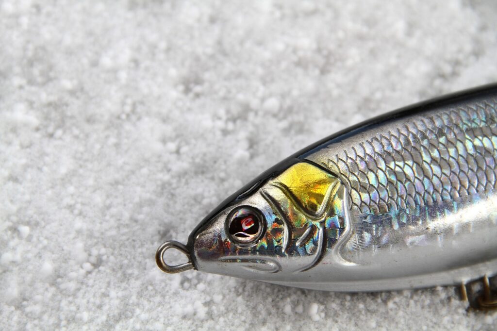 fishing, lure, nature, natural, jerkbait, sebile, eye, snow, kemionsaari, finland, gray fish, gray fishing