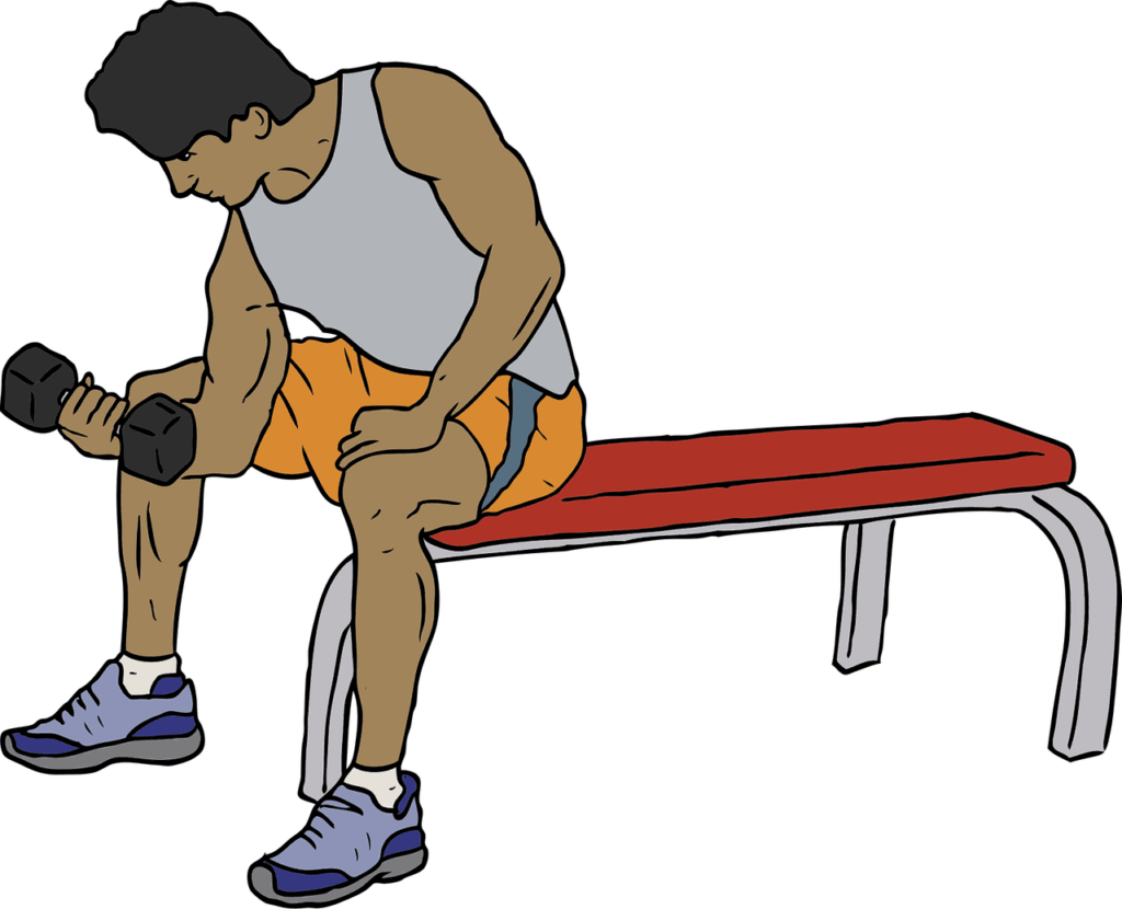 gym, bench, weight, lifter, gymnasium, lifting, muscle, dumbbells, iron, metal, bodybuilding, gym, gym, gym, gym, gym