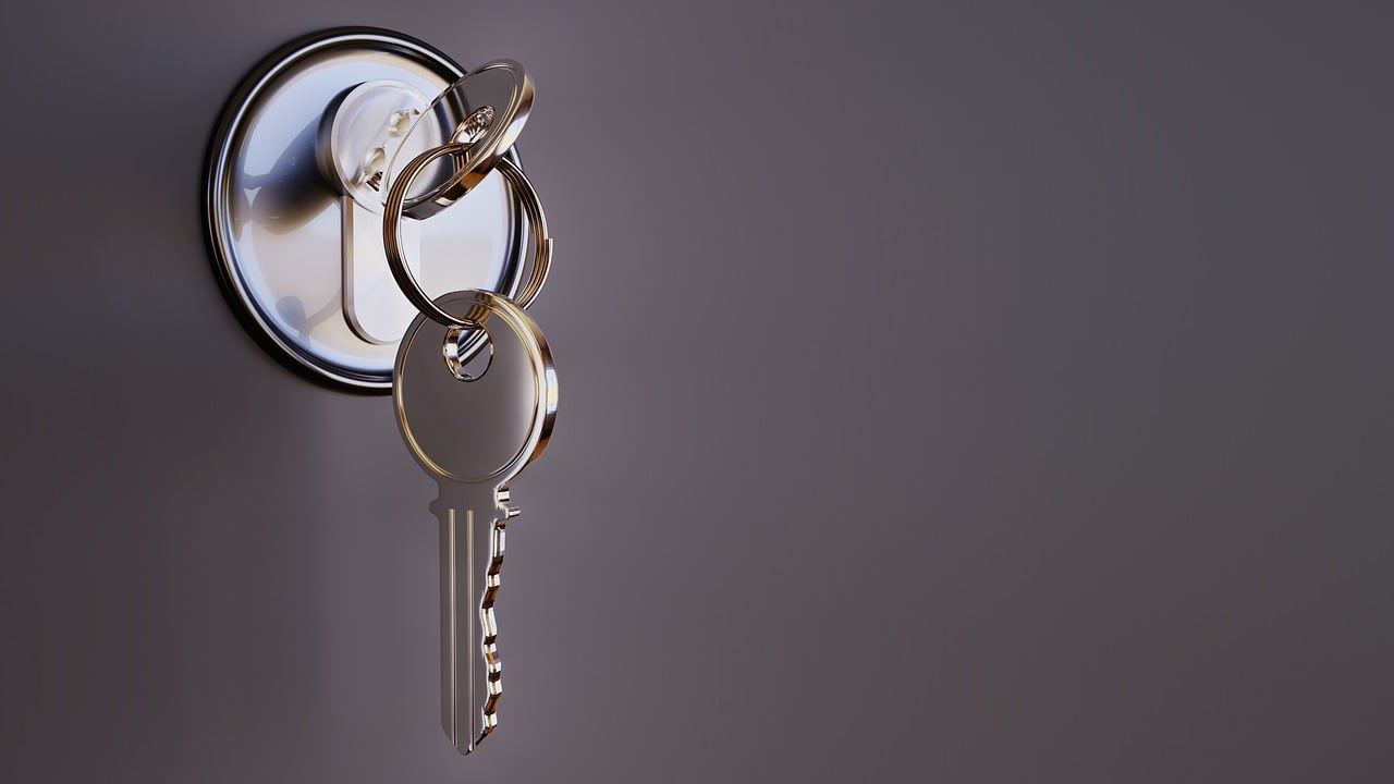 key, castle, security, metal, 3d, locked, closed, to graduate, door lock, key, key, key, key, key, security, security