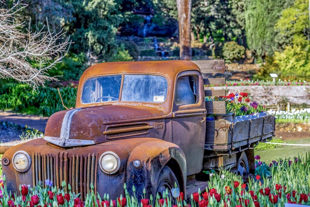 ford, truck, nature, tulips, garden, rusty, old, classic