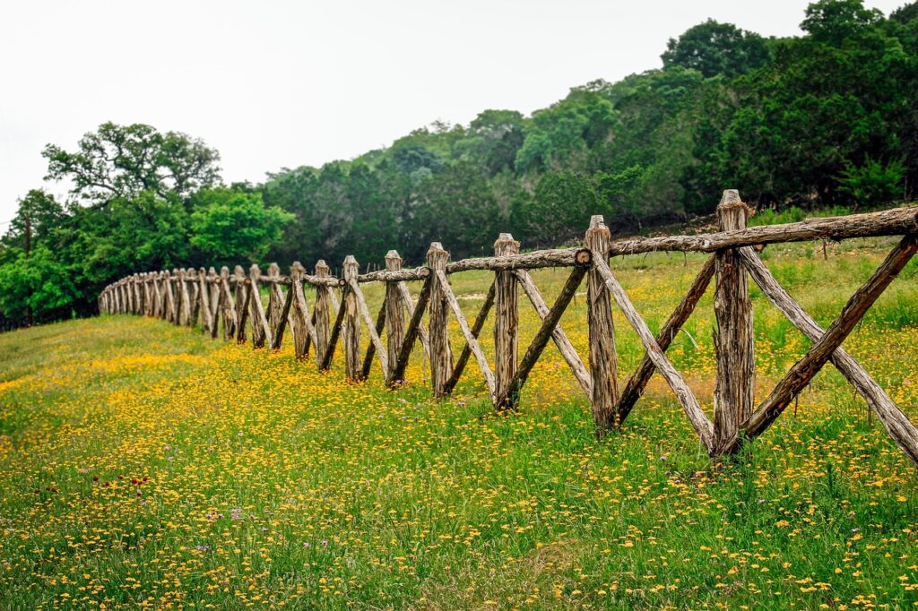 hill country texas, fence row, texas wildflowers, west texas, fence row, texas wildflowers, texas wildflowers, texas wildflowers, texas wildflowers, texas wildflowers, west texas
