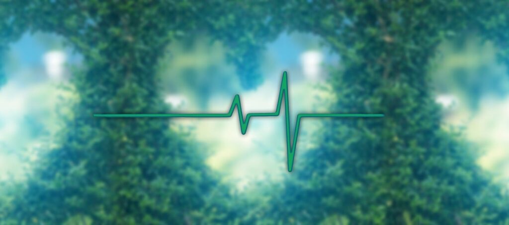 heart, pulse, medicine, health, blood pressure, biology, rhythm, blood circulation, blood pressure, blood pressure, rhythm, rhythm, rhythm, rhythm, rhythm