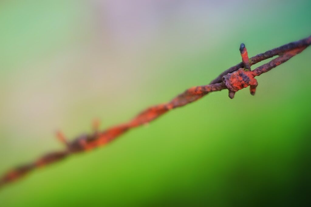 barbed wire, green, red, wire, fence, delimitation, metal, pasture fence, close up, meadow, pasture, limitation, security, wiring, macro, border, barrier, rust