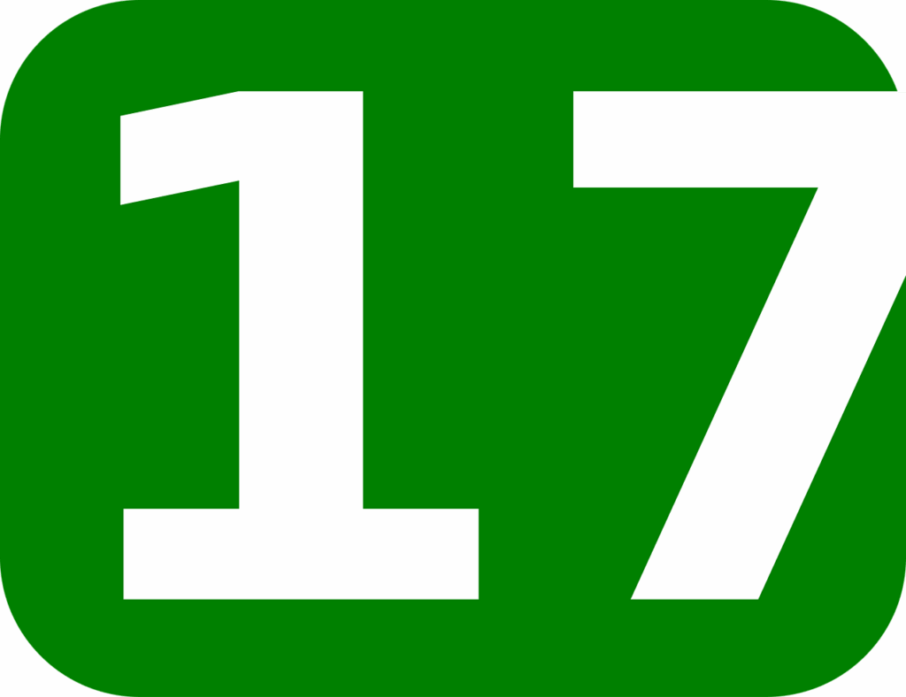 number, 17, rectangle, rounded, green, white, green numbers, number, number, number, number, number, 17, rectangle, green numbers