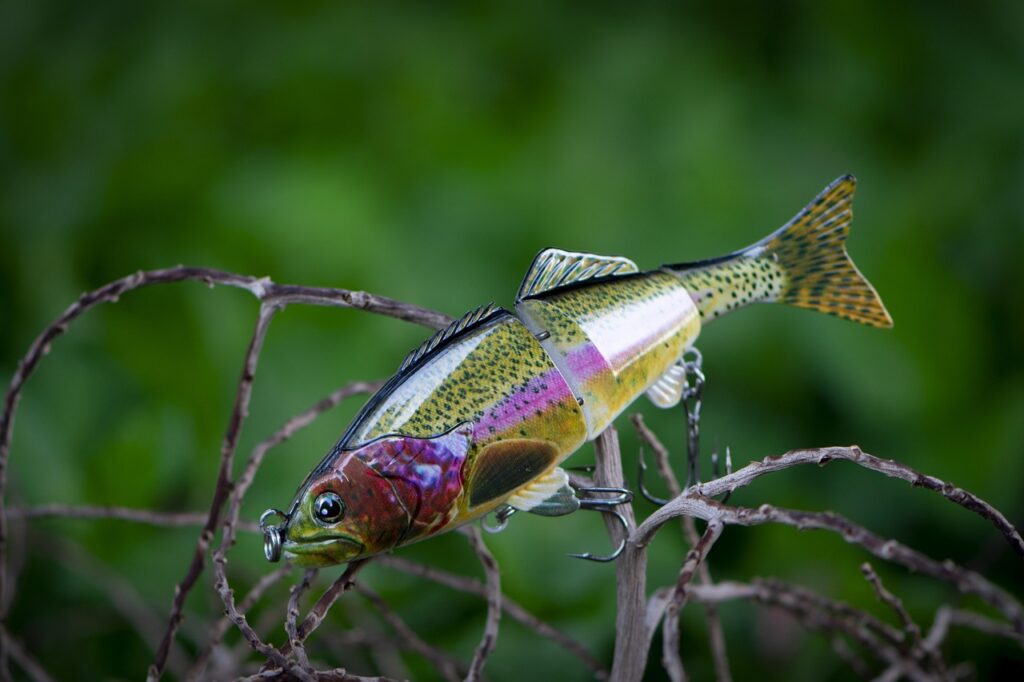 fishing, fishing lure, fish lure, bad cast, stuck, sharp hooks, green fish, green fishing, fishing lure, fishing lure, fishing lure, fishing lure, fishing lure, stuck, stuck, stuck, stuck