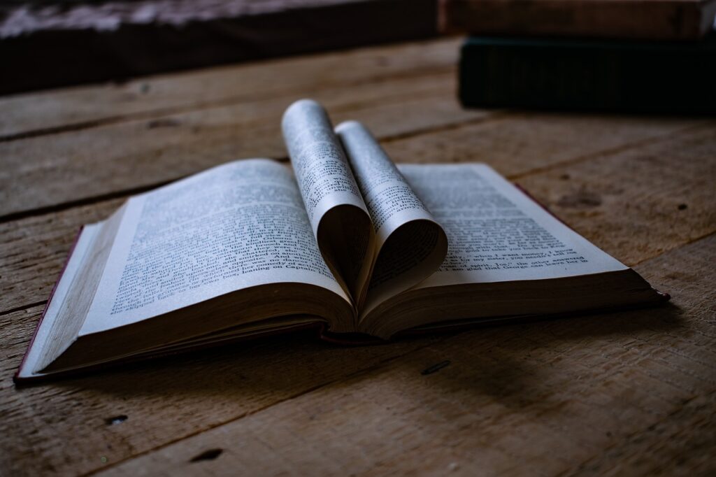 book, love heart, love, heart, romantic, reading, paper, poetry, romance, library, open, wedding, page, read, books, poem, story, novel, symbol, text, knowledge, writer, old, design, brown heart, brown library, brown reading, brown wedding, brown knowledge, poetry, poem, poem, poem, poem, poem, writer