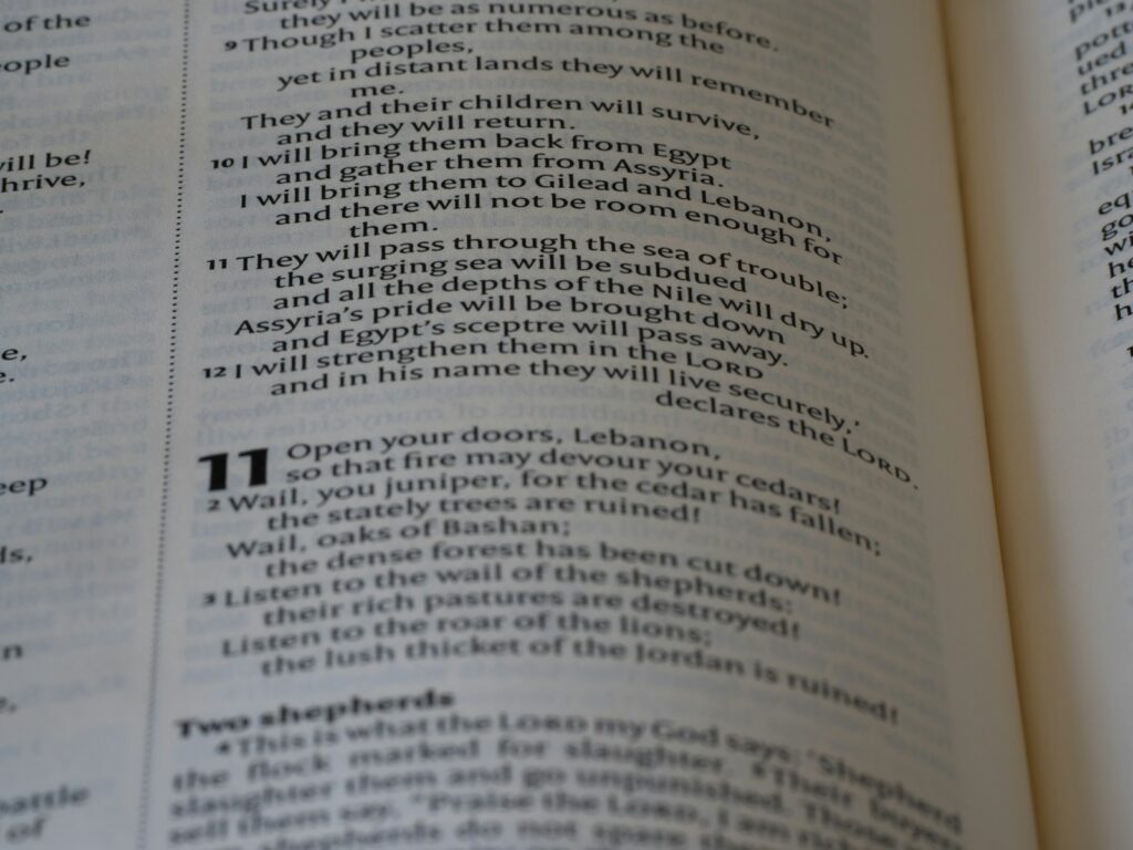 a close up of a book with an open page