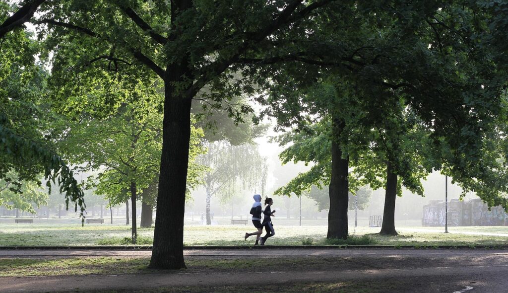 10 Minutes a Day: The Science-Backed Routine That Reverses Aging and Reclaims Your Vitality