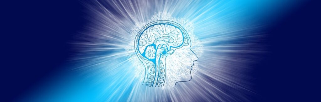 intelligence, brain, think, intelligent, communication, shine, connection, brain, brain, brain, brain, brain