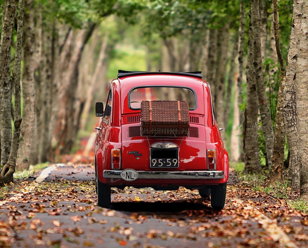 fiat 500, automobile, trees, antique car, vehicle, classic, nature, italy, nostalgia, car, car wallpapers, small car, motor vehicle, avenue, road, path