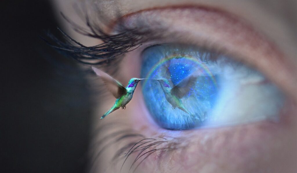 eye, eyelash, iris, nature, view, bird, humming-bird, magic, blink, imagination, woman, female