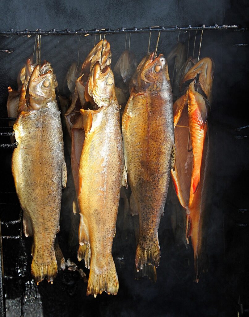 fish, smoked fish, meal, food, nourishment, smoked, fishing, yummy, delicacies, to smoke, fresh, char, smokehouse, smoked trout, smoker, nature, trout, enjoyment, fish preparation
