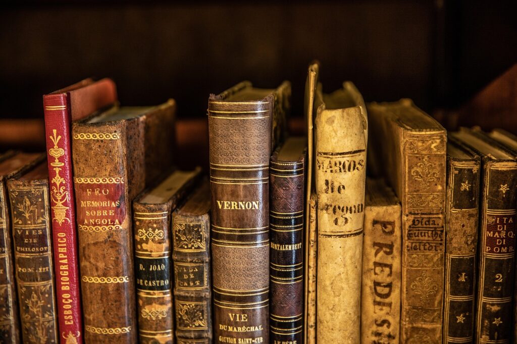 books, library, knowledge, history, education, literature, study, book store, text, learn, old one, book store, book store, book store, book store, book store