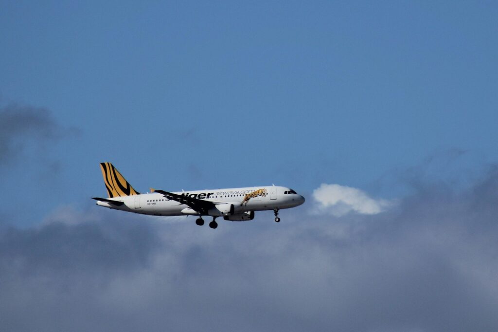 tiger, air, landing, approach, budget, airline, sydney, australia, aero, plane, aircraft, flight, airport, holiday, flying, airplane, boeing, 737, cheap, journey, vacation, transport, travel, vh-vnk, syd, blue plane, blue airplane