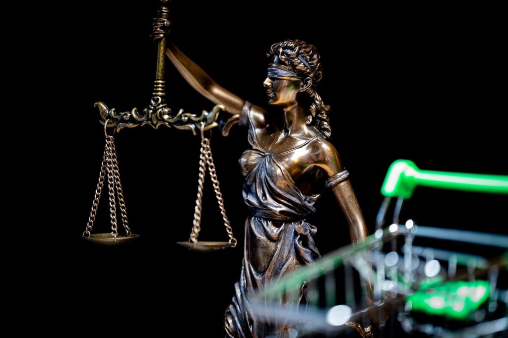 justitia, online shopping, dish, verdict, judge, law, penalty, justice, hammer, lawyer, attorney, legal basis, libra, authority, paragraph, symbol, dsgvo, the courtroom, system, judge, lawyer, lawyer, lawyer, lawyer, lawyer