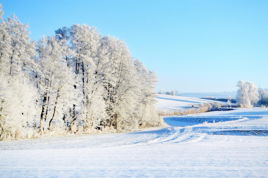 winter, road, trees, nature, cold, landscape, stroll, forest, frost, snowfall, driving, travels, the picturesque, emotions, tree