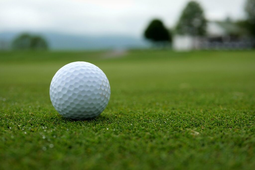 golf, golf cart, golf ball, ball, golfing, put, putting, greens, club, golf club, course, strokes, holes, nature, tee box, fairway, cart, grass, terrain, stroke, sport, outdoors, clubs, tee, crossing, jill rose, green golf, green box