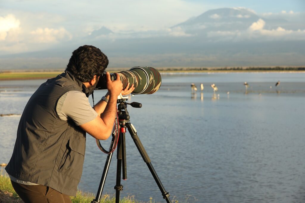 camera, lens, photographer, technology, filming, worker, wildlife, national park
