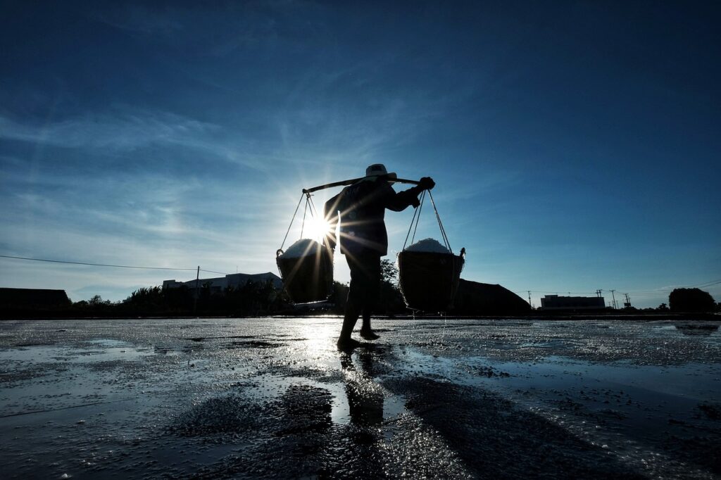 man, worker, buckets, salt, nature, sunset, countryside, job, silhouette