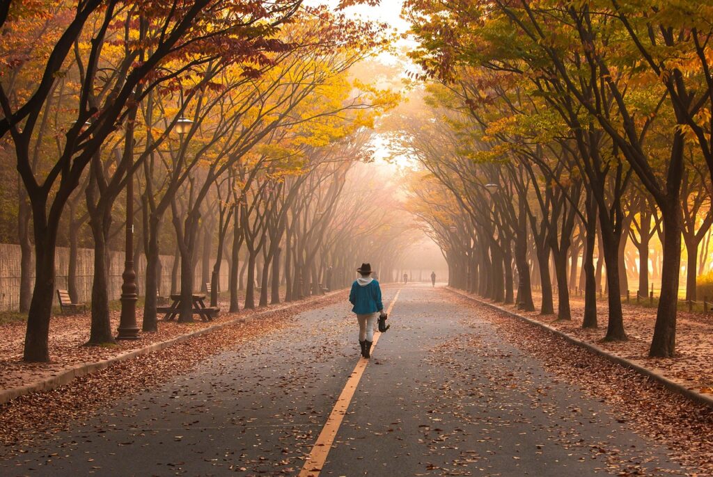 road, pavement, woman, trees, walk, girl, fog, walking, roadway, avenue, mist, nature, leaves, foliage, autumn, fall, park