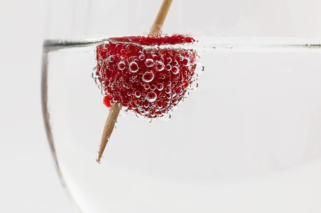 cocktail, drink, glass, alcohol, beverage, bar, liquor, ice, cold, vodka, refreshment, cool, summer, refreshing, berry, soda water, bubble, nature, raspberry