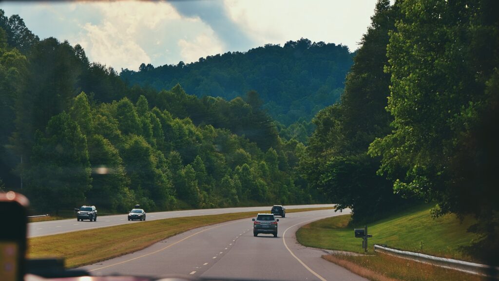 a car driving down a road next to a forest