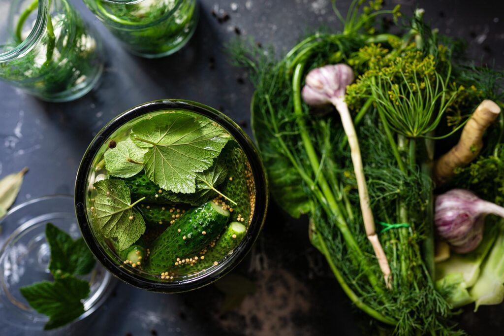 pickled, cucumbers, vegetable, leaves, water, jar, nature, pickle, dill, garlic, organic, food, preservation, healthy, nutrition