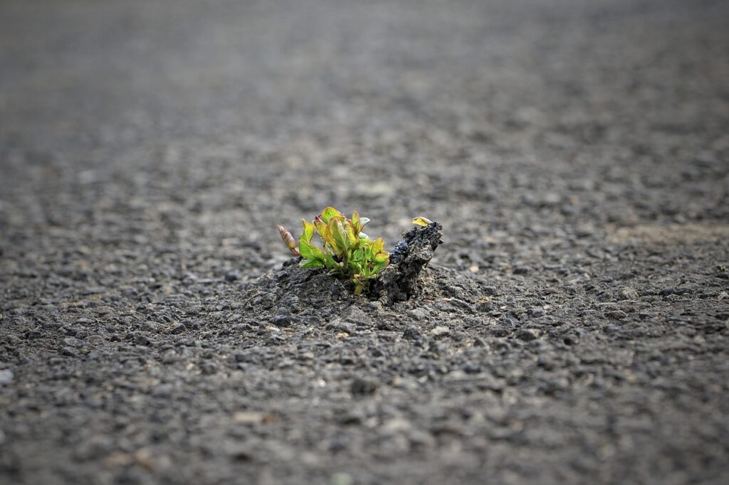 nature is stronger, breakthrough, green through tar, breakthrough, breakthrough, breakthrough, breakthrough, breakthrough