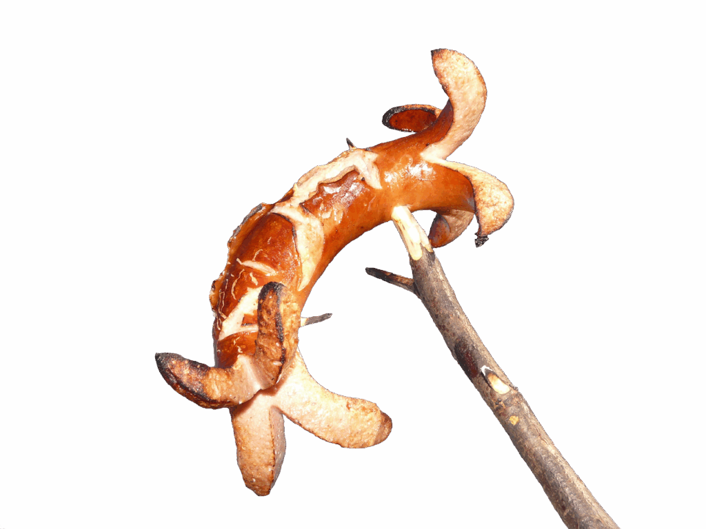 sausage, food, hot dog, roasted, cooked, camping, twig, stick, cut out, sausage, sausage, sausage, hot dog, hot dog, hot dog, hot dog, hot dog, camping, camping, camping