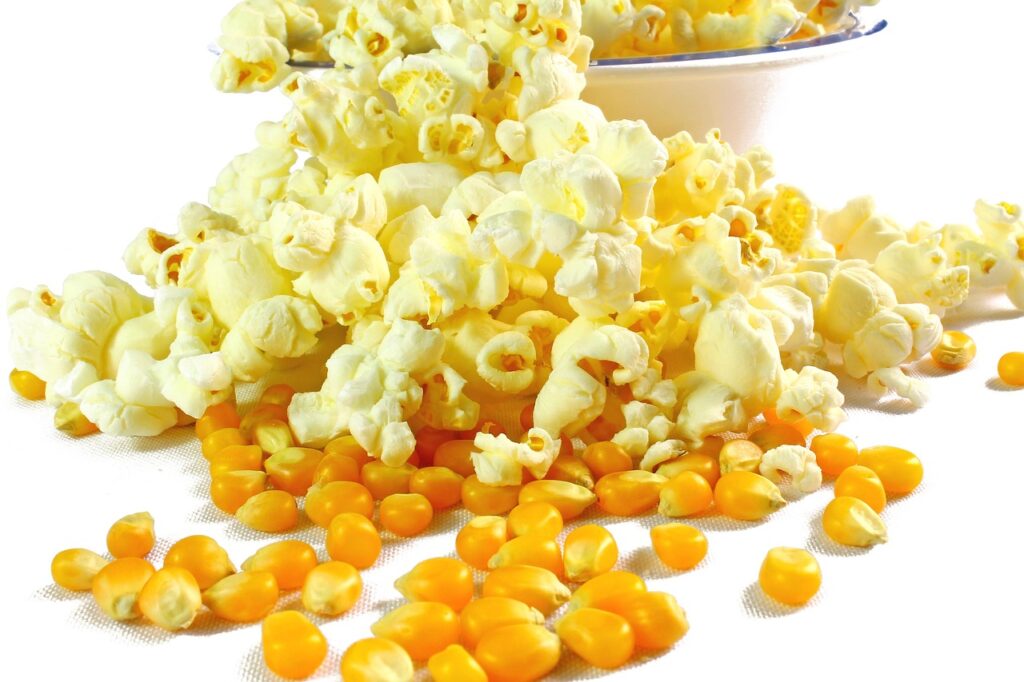 popcorn, popcorn in butter, corn, food, popcorn, popcorn, popcorn, popcorn, popcorn