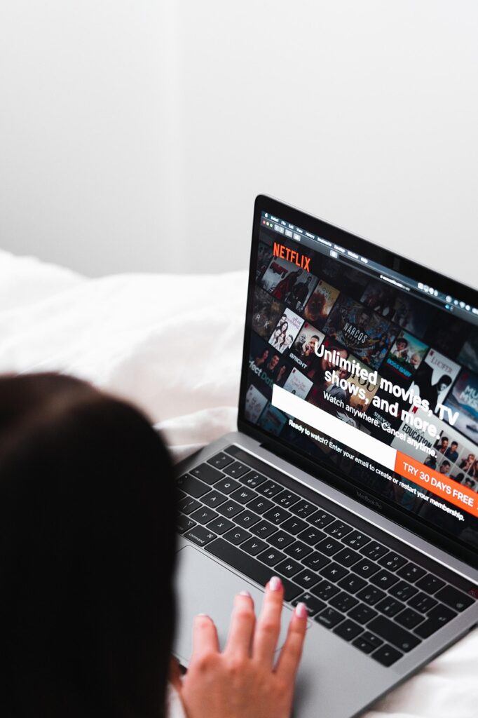 laptop, netflix, entertainment, movies, choose, watch, leisure, technology, relaxation, netflix, netflix, netflix, netflix, netflix