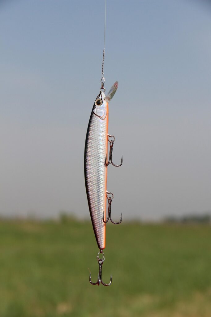 plug, fishing, hook, tackle, bait, lure, fish, nature, wobbler, closeup