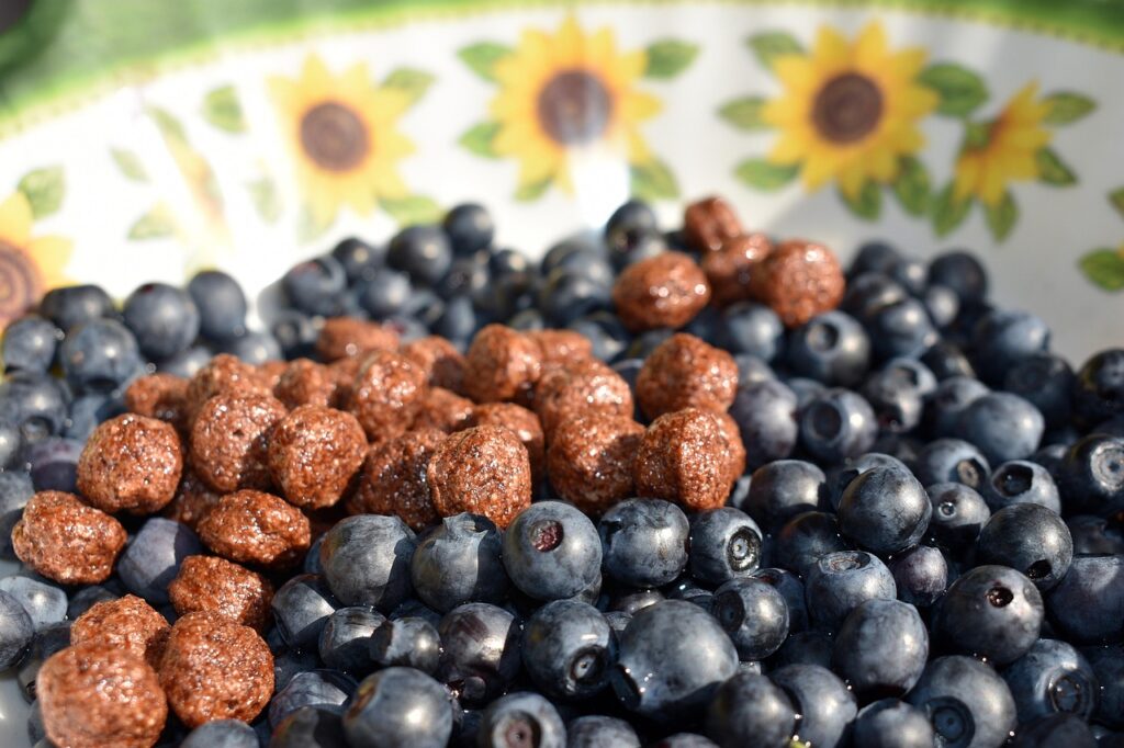 breakfast, cereal, berries, blackberries, breakfast cereal, food