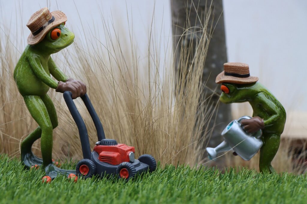 garden professionals, gardener, professionals, garden service, gardening, garden maintenance, workplace, lawn, lawn mower, mower, casting, can, water, nature, lawn mower, lawn mower, lawn mower, lawn mower, lawn mower, mower