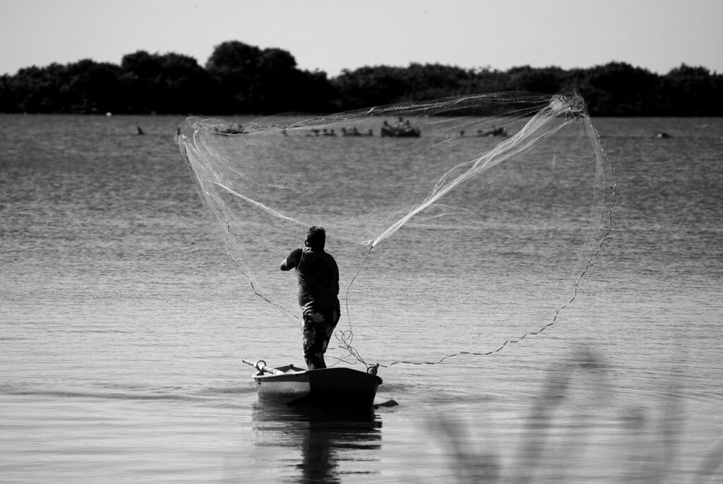 man, fisherman, fishery, boat, sea, network, livelihood, monochrome, nature, black and white, grey, gray, water, fishing, fishing net