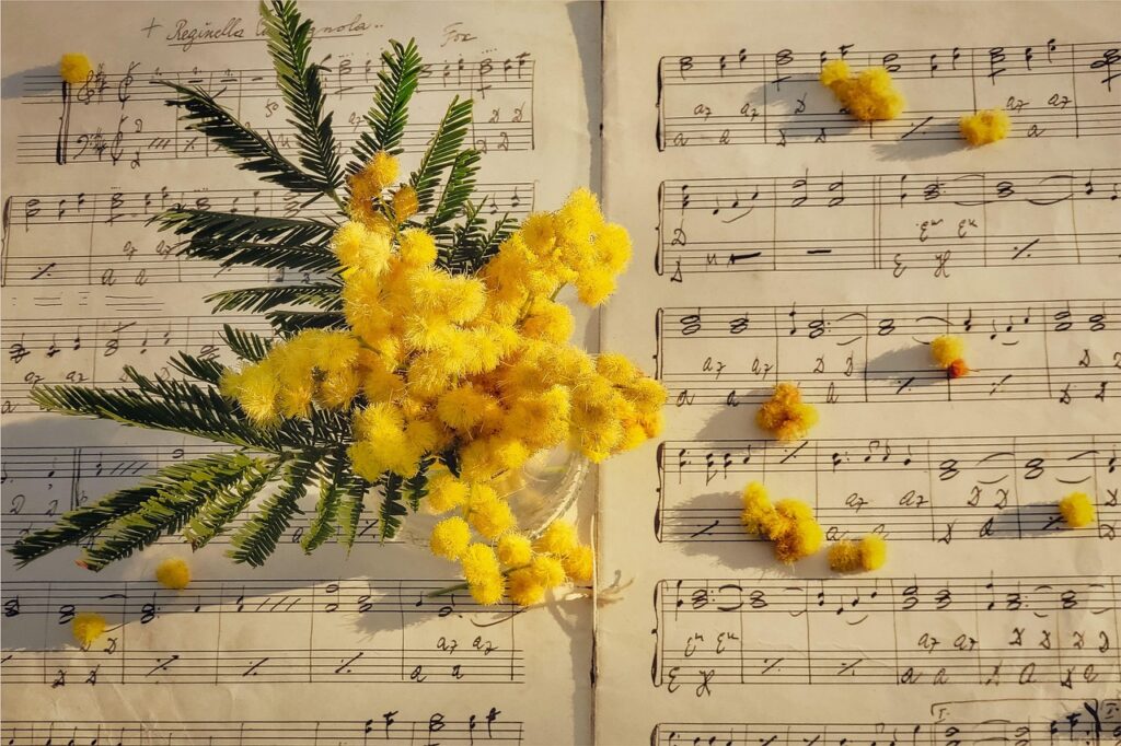mimosa, cool backgrounds, desktop backgrounds, yellow flowers, sheet music, music notes, hd wallpaper, spring, floral, romantic, free wallpaper, laptop wallpaper, wallpaper hd, vintage, artistic, composition, wallpaper 4k, mac wallpaper, free background, melody, floral background, flowers on paper, windows wallpaper, delicate, soft light, nature and music, blossom, music sheet, harmony, still life, full hd wallpaper, seasonal, beautiful wallpaper, nature, bouquet, inspiration, 4k wallpaper 1920x1080, elegant, 4k wallpaper, background, gentle