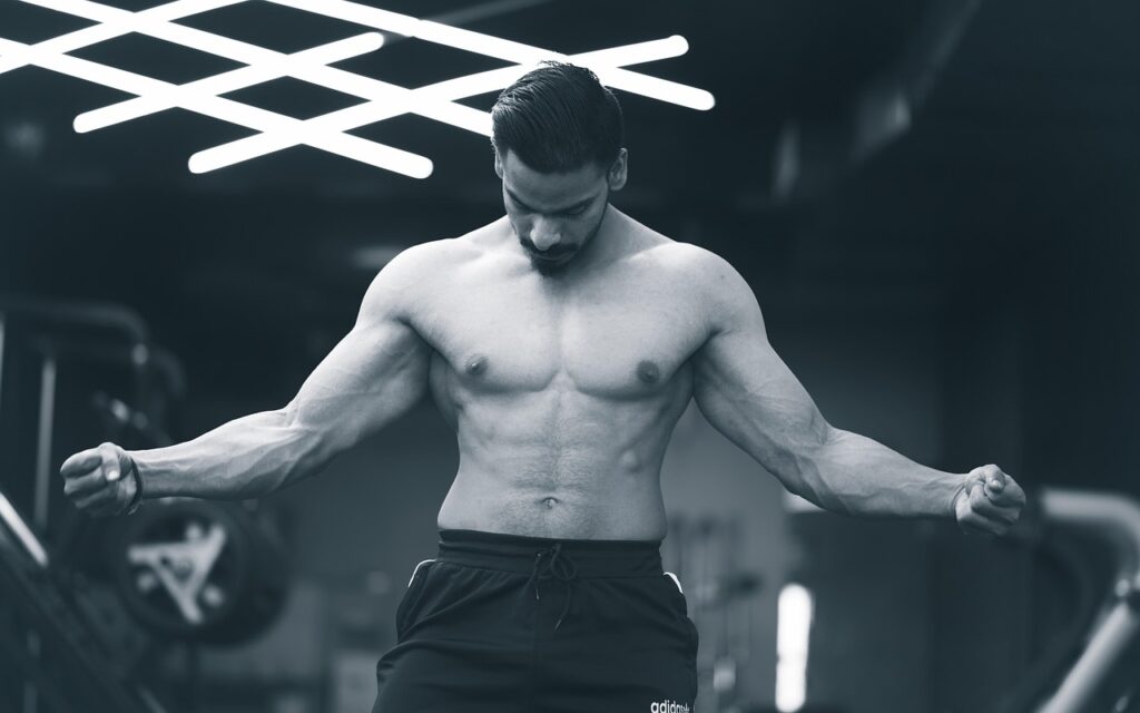 body, bodybuilding, gym, fitness, exercise, workout, sport, training, fit, health