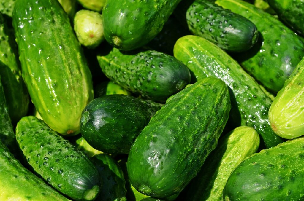 FDA Issues Nationwide Salmonella Alert: In-Depth Look at Cucumber Outbreak and Recalls
