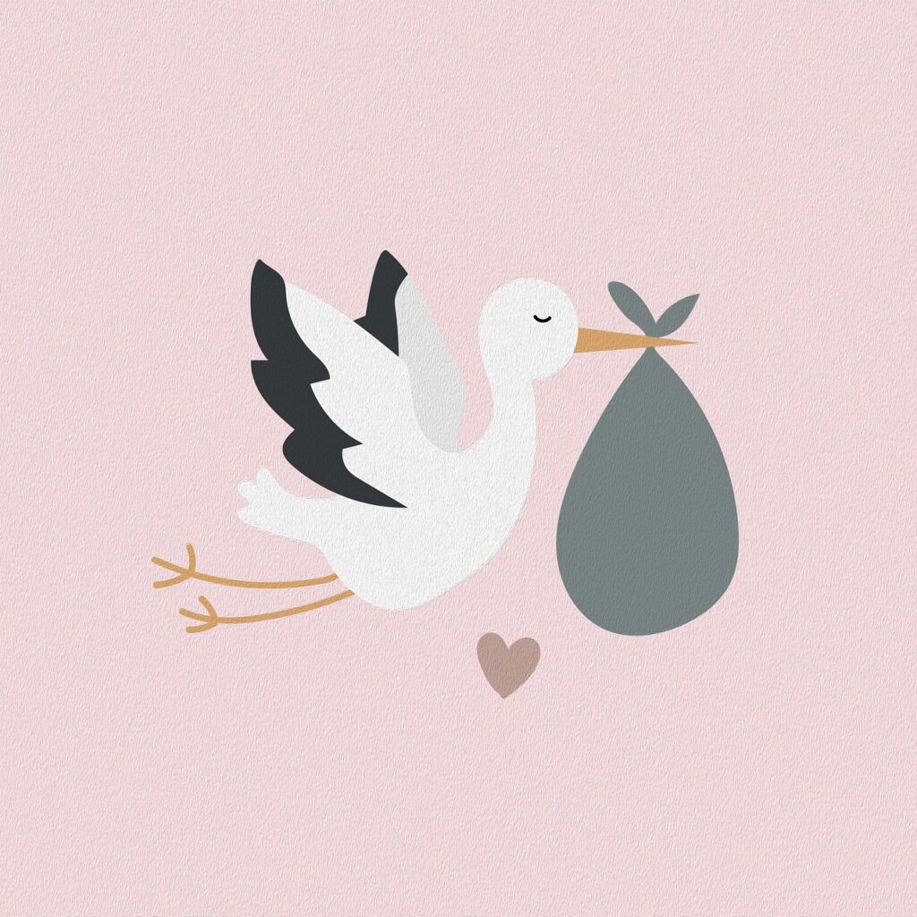 stork, bird, animal, birth, nature, expectation, map, birth card, maternity gift, drawing