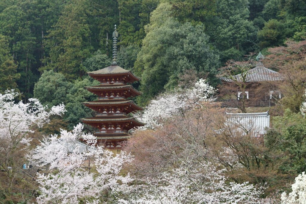 A pagoda in the middle of a forest of trees