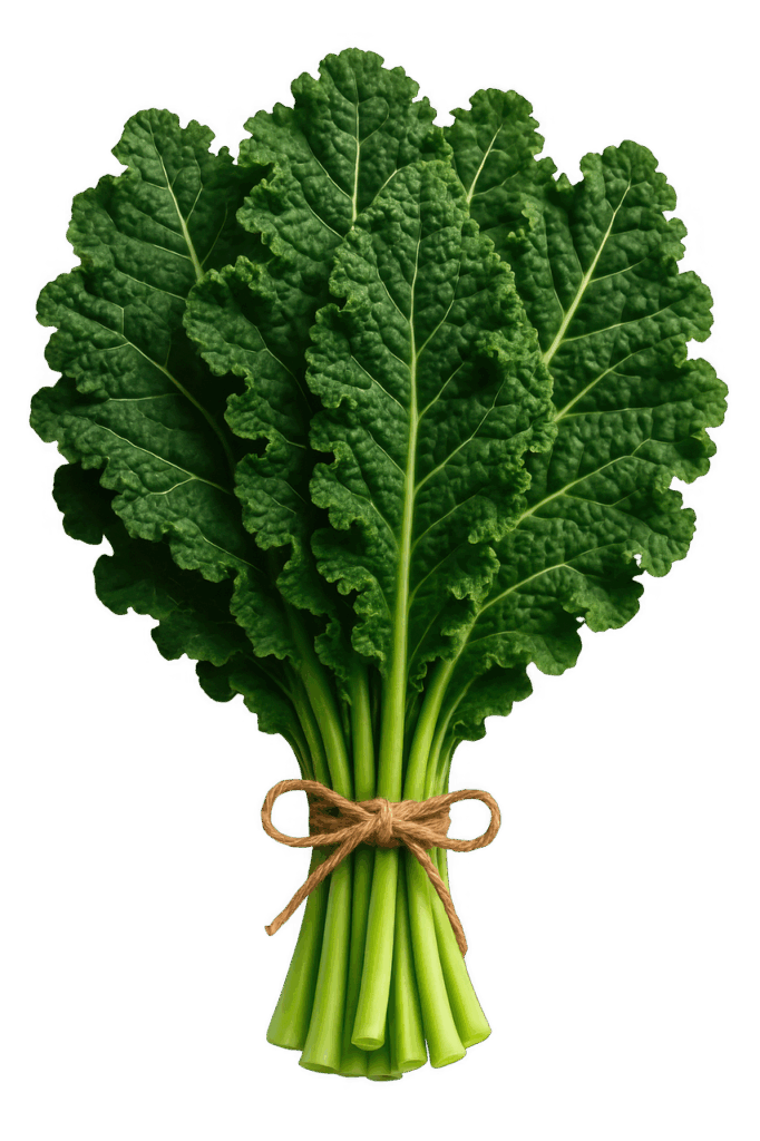 kale bunch, green vegetable, fresh produce, organic food, leafy greens, healthy eating, raw kale, tied vegetables, healthy diet, vegan food, superfood, nutritious leaves, farm fresh, vegetarian, salad greens, tied bundle, clean eating, grocery item, vegetable bundle, cooking ingredient, dark green leaves, whole food, transparent background, ai generated