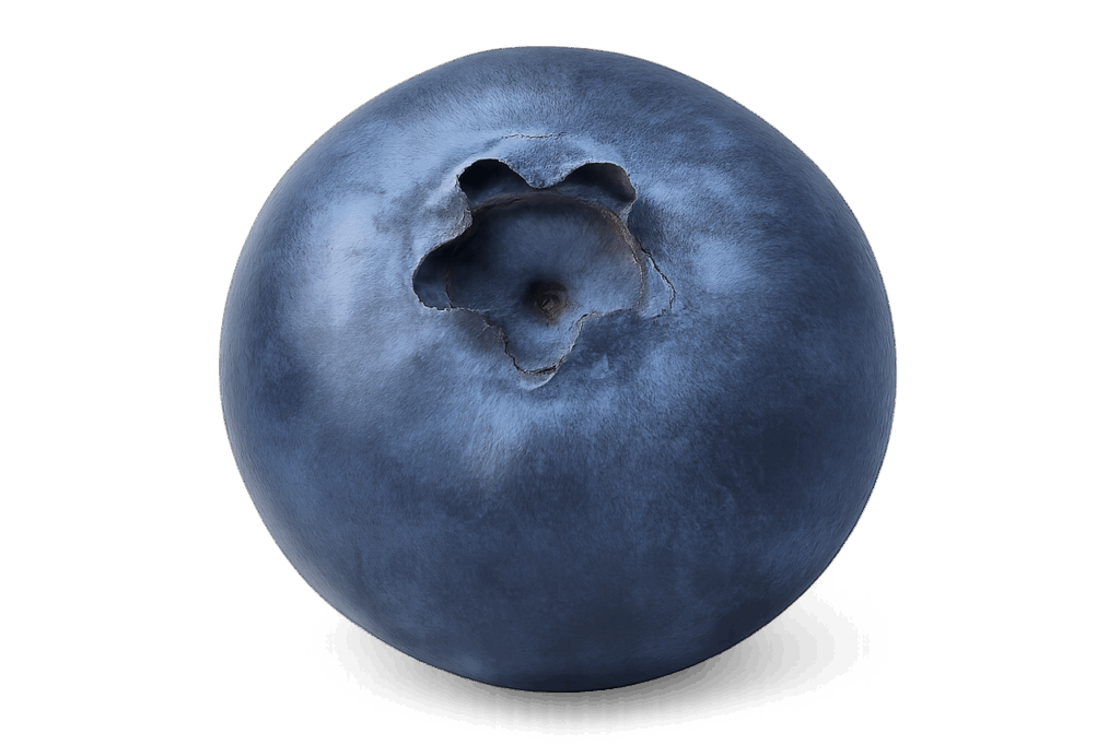ai generated, blueberry, fruit set, blue, fruit, food, fresh, ripe, 3d