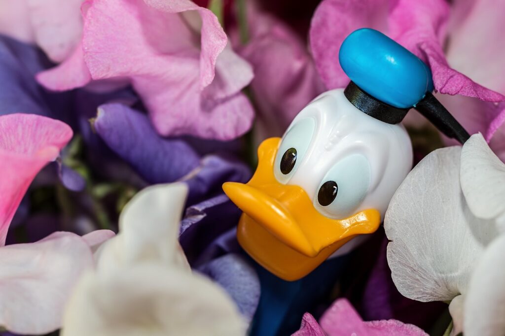 donald duck, disney character, flower background, flower wallpaper, sweet-pea, flowers, cartoon character, pez dispenser, beautiful flowers, smile, nature, cheerful, comic