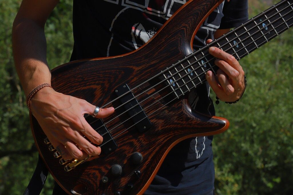 musician, bassist, guitar player, performer, music, people, balance, art