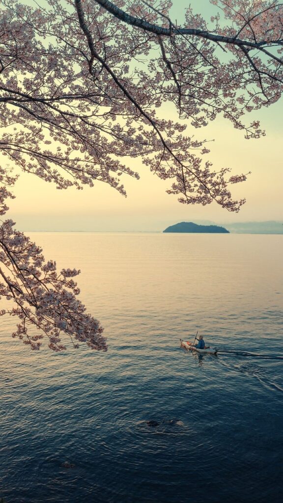 landscape, lake, lake biwa, island, spring, sakura, canoe, early morning, nature, japan