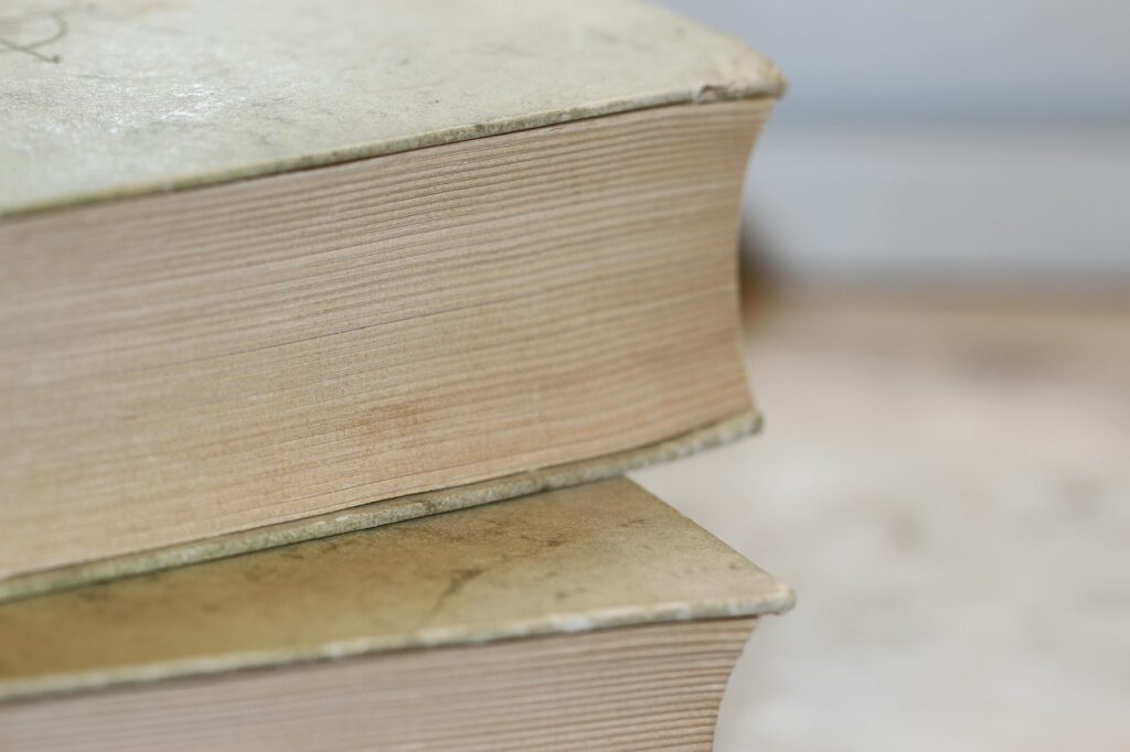 books, old, antique, old books, literature, history, hardcover, library, reading, vintage, aged, book cover, manuscript, writer, publish, free pictures, brown book, brown books, brown library, brown reading, brown history