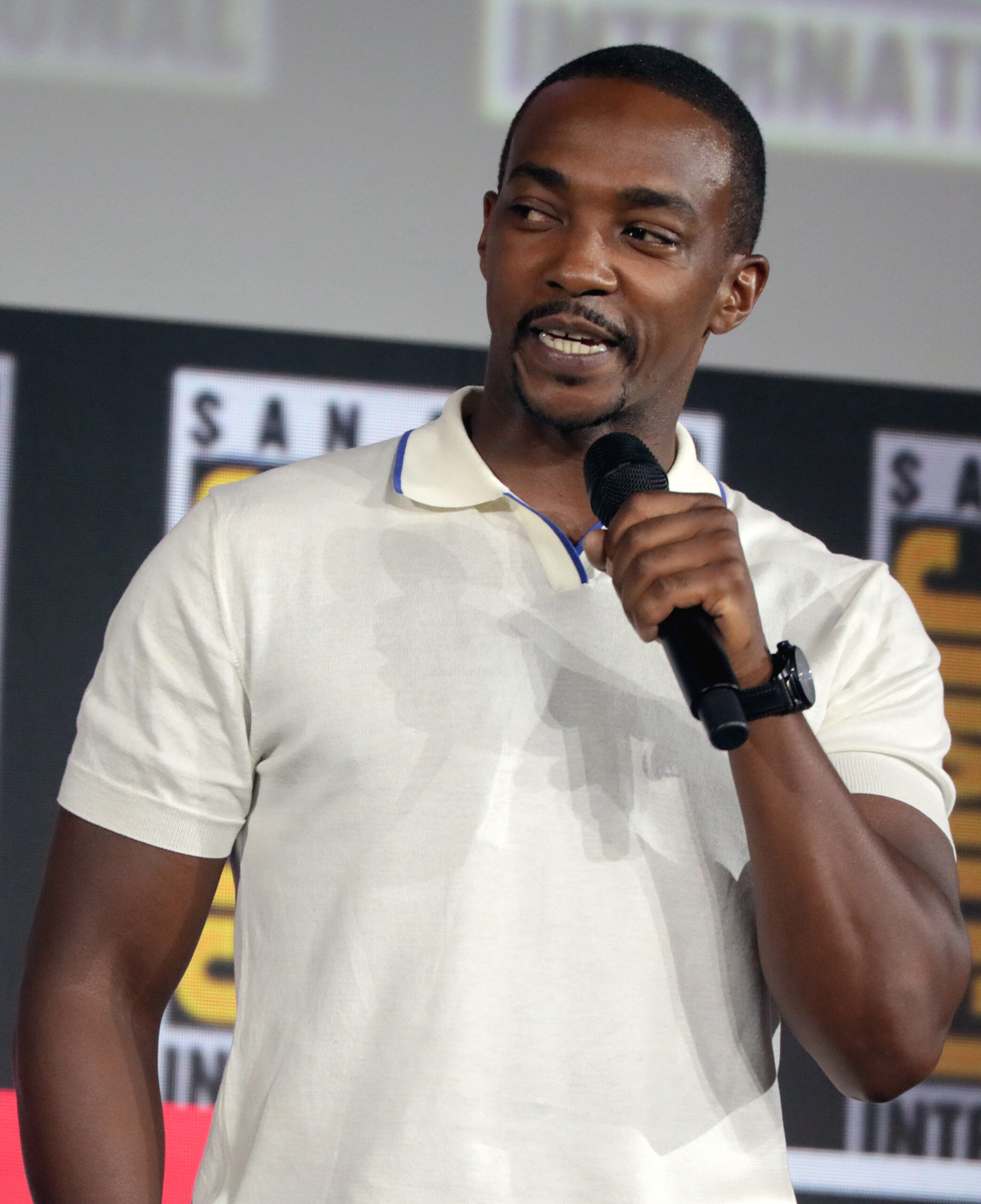 Anthony Mackie as Sam Wilson / Falcon / Captain America