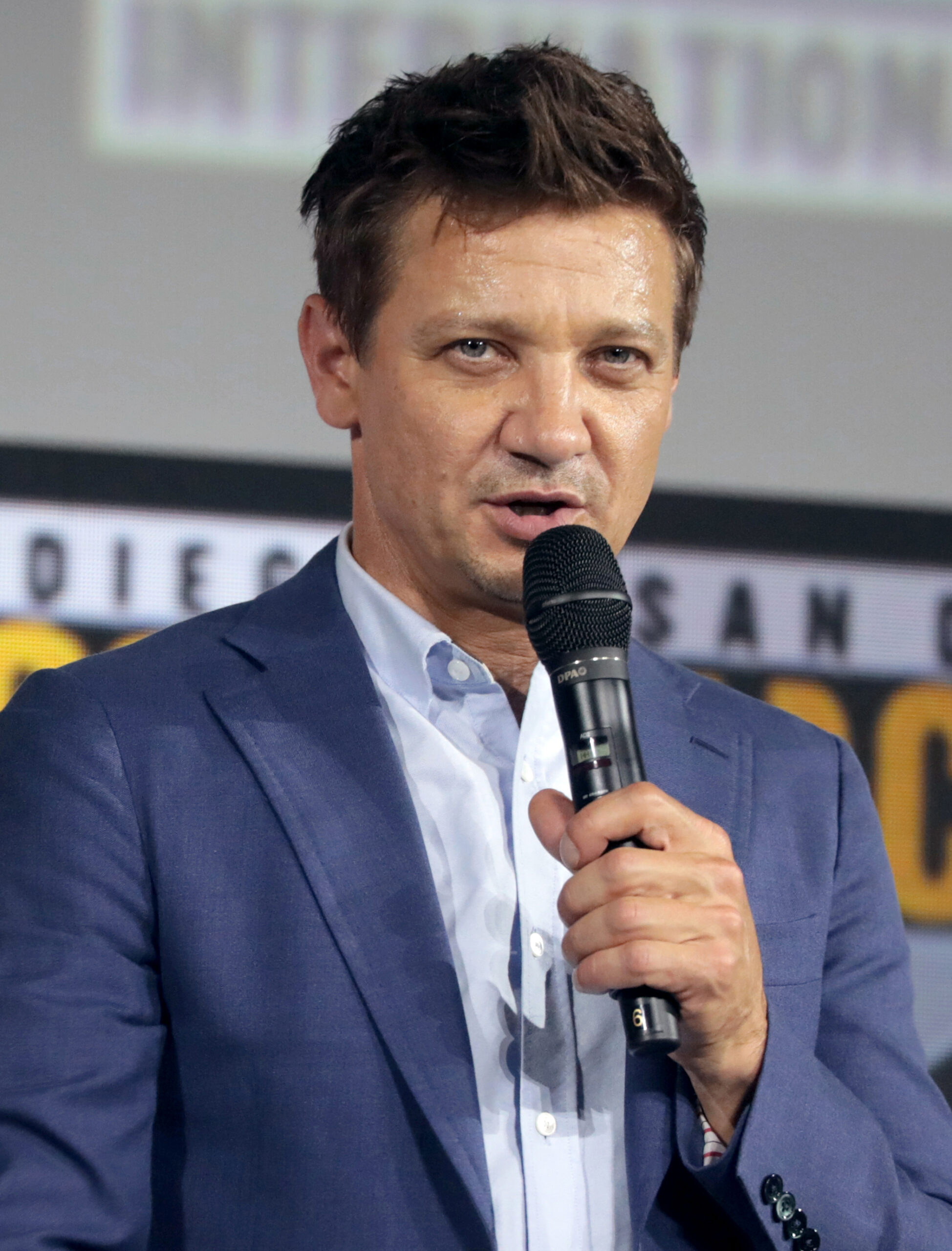 Jeremy Renner as Clint Barton / Hawkeye